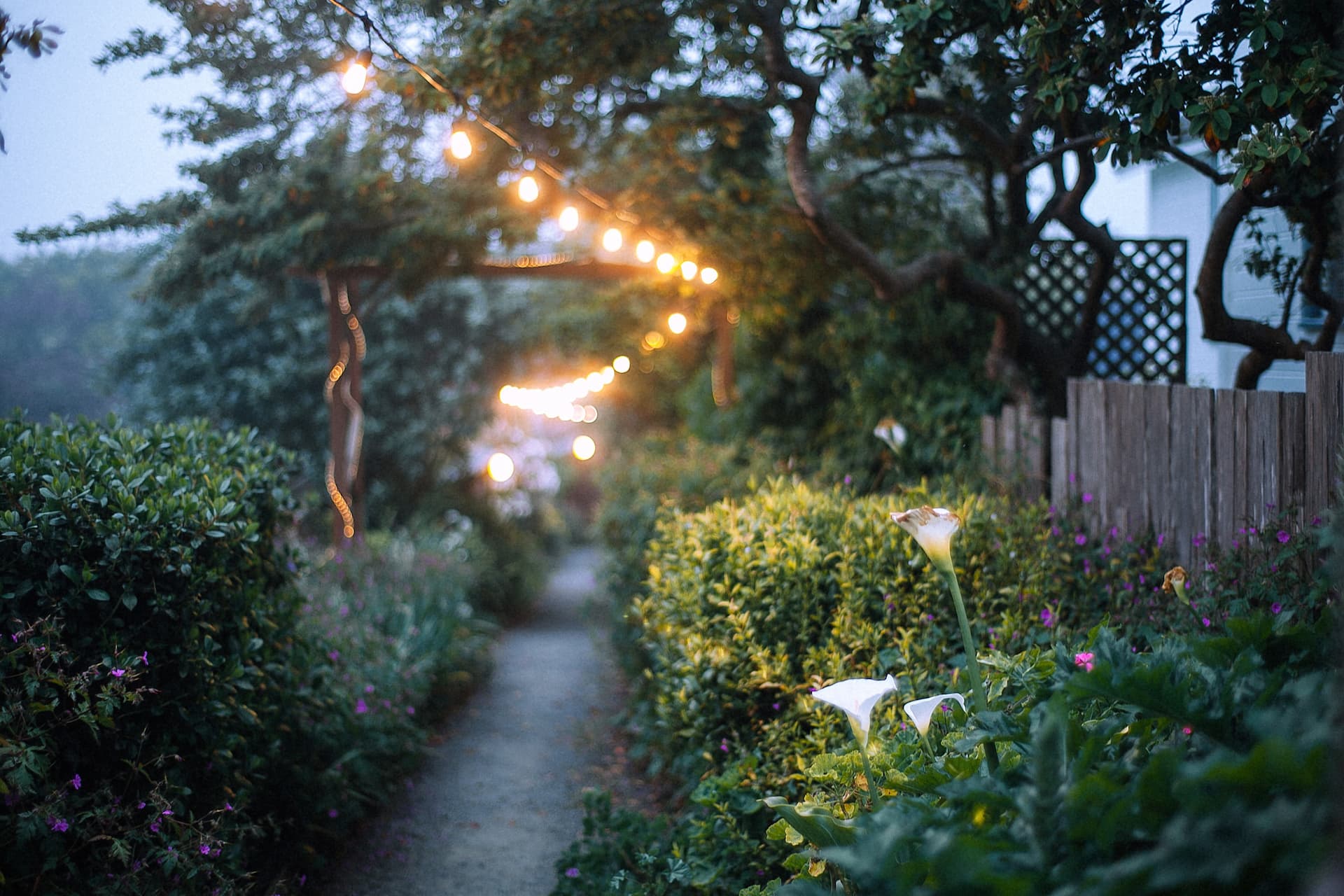 jardín iluminado con gusto